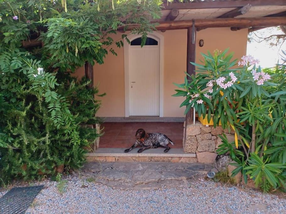 Suite Mirialveda San Pantaleo Exterior photo